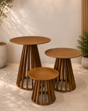 cone pinus 01